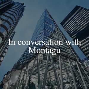 In conversation with Montagu #3 // Factoring ESG into portfolio management