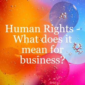 Building Business and Human Rights due diligence into Business as Usual // ESG