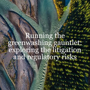 Greenwashing from a UK regulatory perspective – the CMA and the ASA // ESG