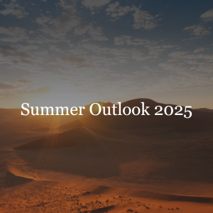 Summer Outlook 2025 // AFIG