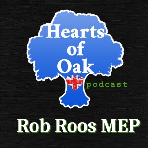 Rob Roos MEP - Dutch Courage: A Maverick's Path in European Politics