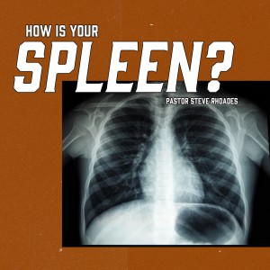How Is Your Spleen?| Pastor Steve Rhoades