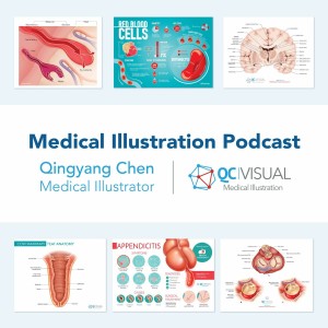 Medical Illustration Podcast - Qingyang Chen Interview