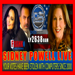 EP 2638-8AM SIDNEY POWELL - YOUR VOTES HAVE BEEN STOLEN WITH COMPUTERS SINCE 2000