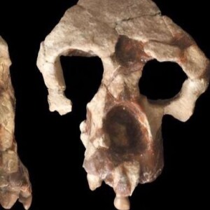 A new way of Analyzing Cave Art, Hominins in Europe, and Massive Hand Axes in Kent!