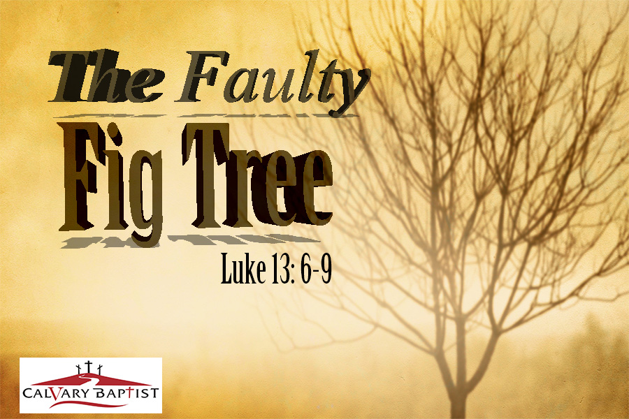 The Faulty Fig Tree - Luke 13: 6-9 - 6/26/2016 Sermon