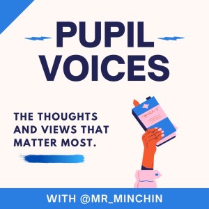 Introduction to Pupil Voices
