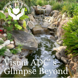 Visual ADC’s -  A Glimpse Into the Beyond