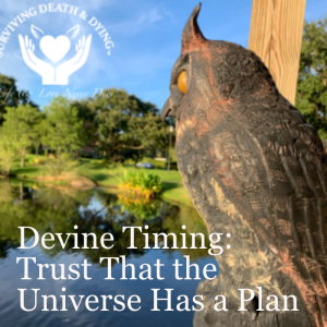 Devine Timing: Trust That the Universe Has a Plan