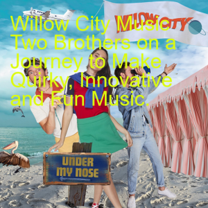 Willow City Music Two Brothers on a Journey to Make Quirky, Innovative and Fun Music.