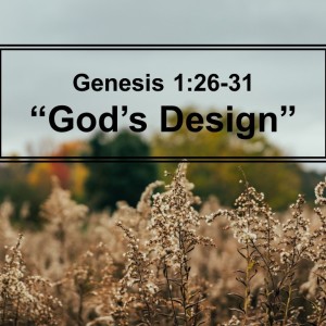 God’s Design