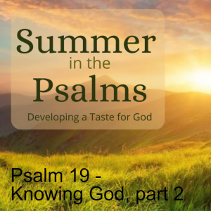 Psalm 19 - Knowing God, part 2