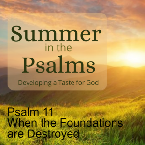 Psalm 11 - When the Foundations are Destroyed