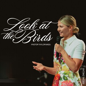 Look at the Birds I Taylor Madu I Social Dallas