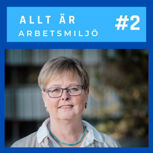 " Det sociala kapitalet definierar organisationens förmåga att upptäcka risker"