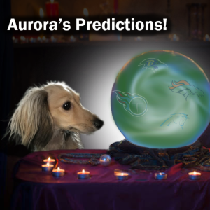 49. Aurora‘s NFL Predictions for the Season