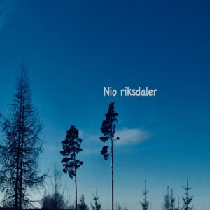 Nio riksdaler