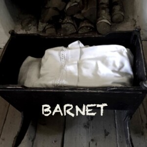 AVSNITT 15 BARNET