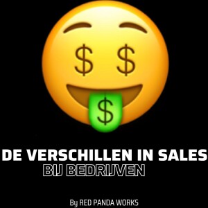 De verschillen in sales bij bedrijven #77 🤑 Sales Podcast