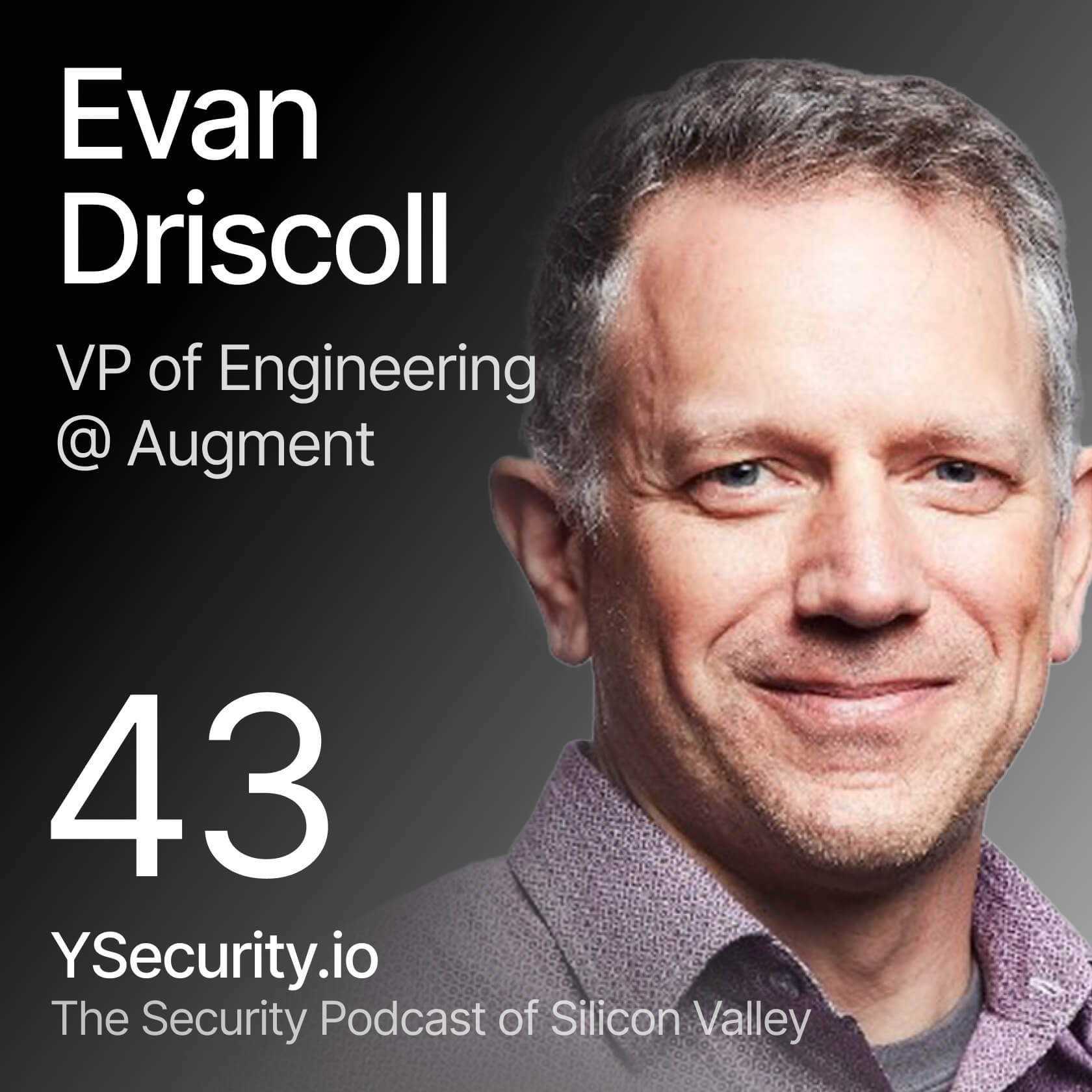 The Security Podcast of Silicon Valley