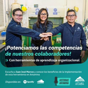 El aprendizaje organizacional en la minería
