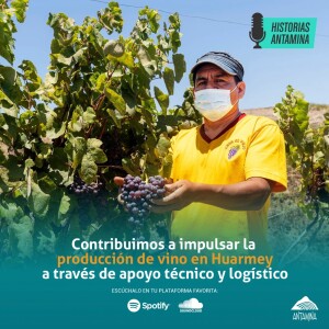 La minería impulsando la producción de vino en Huarmey.