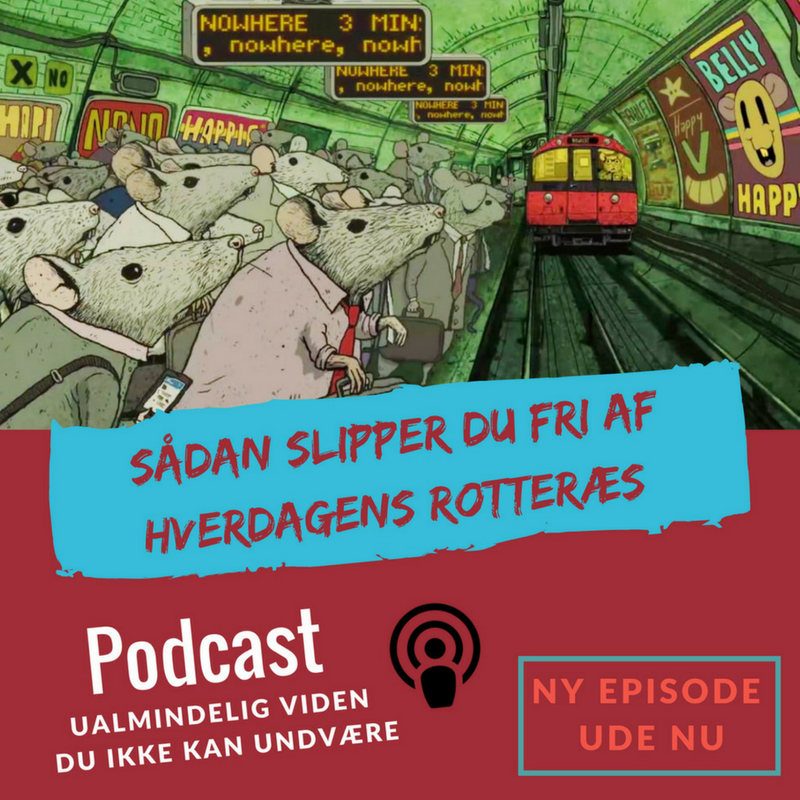 Episode 3: Sådan slipper du fri af rotteræset