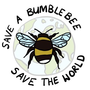 Gill Perkins, CEO of The Bumblebee Conservation Trust