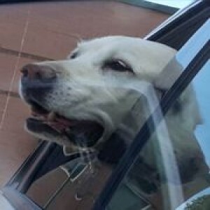 When it's Time to Say Good-Bye