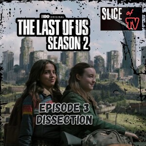 SLICE OF TV - The Last of Us Season 2 Episode 3 Dissection