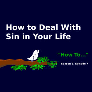 How to Deal With Sin in Your Life (Season 3, Episode 7)