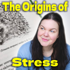 The Origins of Stress