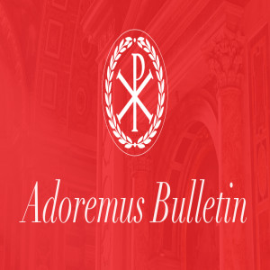 Adoremus Interviews | Fr. Thomas Baima