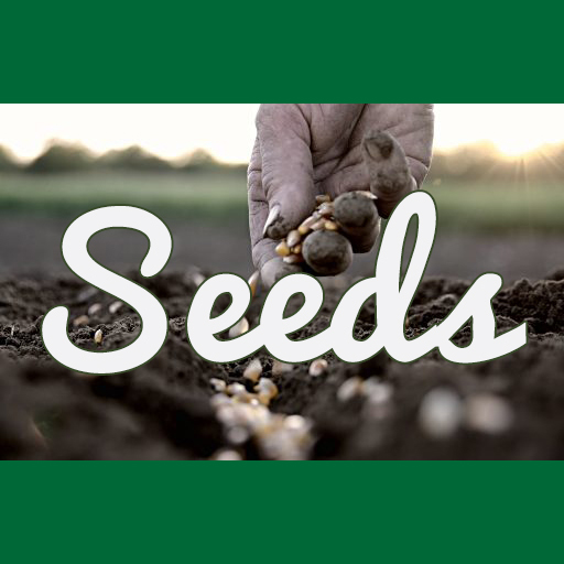 Seeds - 