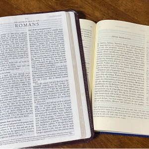 The Epistle to the Romans - Session 25 - Romans 5:12-14