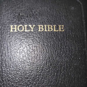 The Plan of God