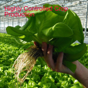 Highly Controlled Crop Production Systems