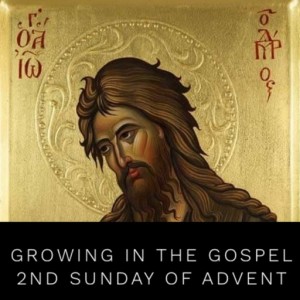 Growing in the Gospel - 2nd Sunday of Advent