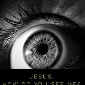 8th Sunday in Ordinary Time - Jesus, how do you see me?