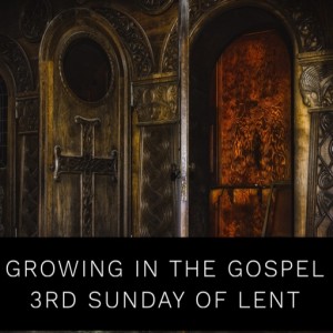 Growing in the Gospel - 3rd Sunday of Lent