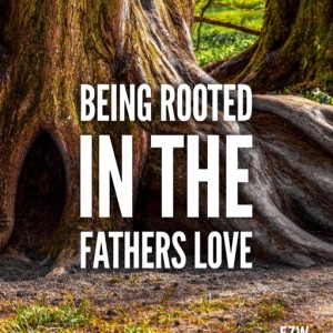 17th Sunday in Ordinary Time - Being Rooted in the Fathers Love