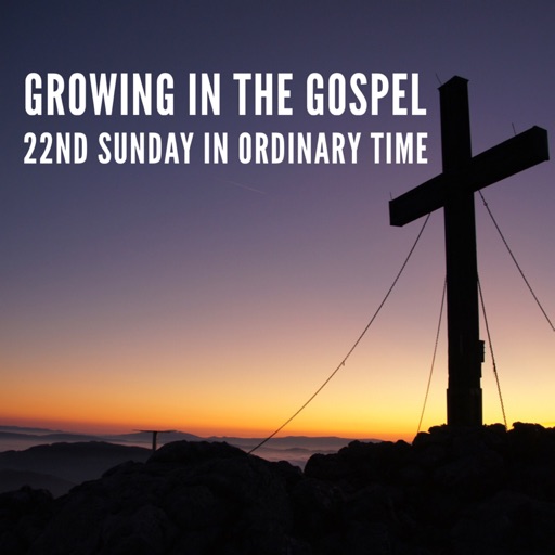 Growing in the Gospel - 22nd Sunday in Ordinary Time