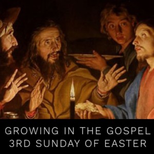 Growing in the Gospel - 3rd Sunday of Easter