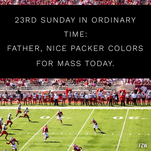23rd Sunday in Ordinary Time - Father, Nice Packer Colors for Mass Today