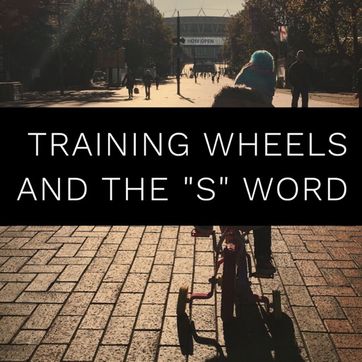 22nd Sunday in Ordinary Time - Training Wheels and the "S" Word