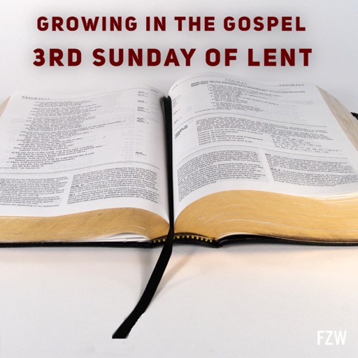Growing in the Gospel - 3rd Sunday of Lent