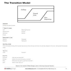13th Sunday - Transition and change - how to accompnay one another
