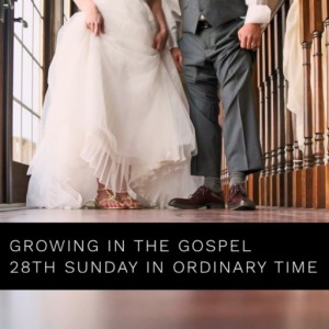 Growing in the Gospel -28th Sunday in Ordinary Time