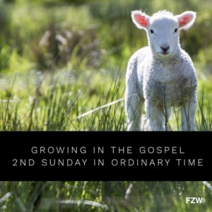 Growing in thr Gospel - 2nd Sunday of Ordinary Time