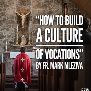 How to build a culture of vocations - Fr Mark Mleziva